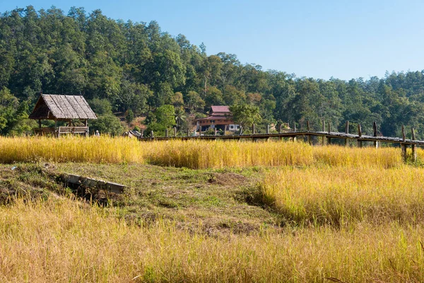 Pai Ταϊλάνδη Όμορφη Γραφική Θέα Από Pai Bamboo Bridge Boon — Φωτογραφία Αρχείου