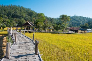 Pai, Tayland - Pai Bamboo Köprüsü (Boon Ko Ku So), Mae Hong Son Eyaleti, Tayland.