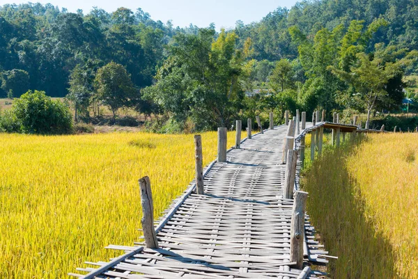 Pai, Tayland - Pai Bamboo Köprüsü (Boon Ko Ku So), Mae Hong Son Eyaleti, Tayland.