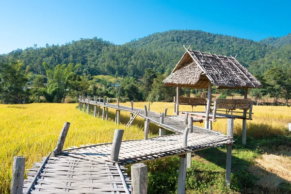 Pai, Tayland - Pai Bamboo Köprüsü (Boon Ko Ku So), Mae Hong Son Eyaleti, Tayland.