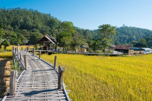 Pai, Tayland - Pai Bamboo Köprüsü (Boon Ko Ku So), Mae Hong Son Eyaleti, Tayland.