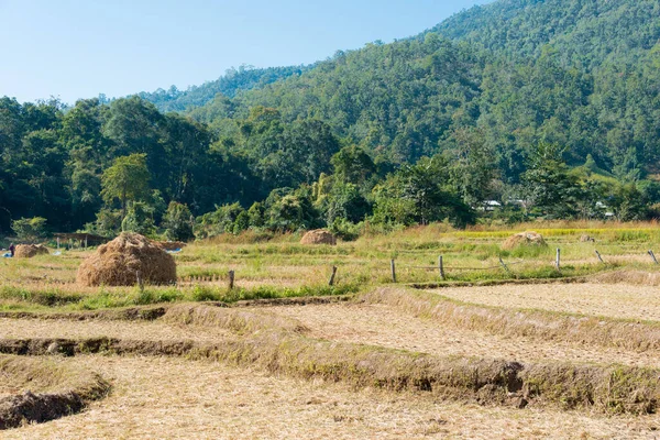 Pai Tailandia Hermosa Vista Panorámica Desde Puente Bambú Pai Boon — Foto de Stock