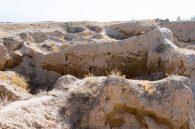 Panjakent, Tacikistan - Antik Panjakent 'in arkeolojik alanı. Tacikistan, Panjakent 'te ünlü bir tarihi mekan..