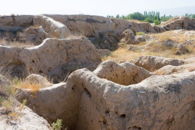 Panjakent, Tacikistan - Antik Panjakent 'in arkeolojik alanı. Tacikistan, Panjakent 'te ünlü bir tarihi mekan..