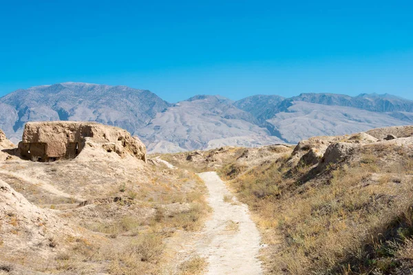 Panjakent, Tacikistan - Antik Panjakent 'in arkeolojik alanı. Tacikistan, Panjakent 'te ünlü bir tarihi mekan..