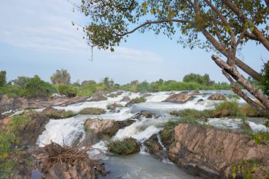 Champasak, Laos - Li Phi Şelalesi (Tat Somphamit) Mekong Nehri 'nde. Mekong Nehri 'nde ünlü bir manzara, 4000 ada, Champasak Eyaleti, Laos.