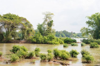 Champasak, Laos - Mekong Nehri 4000 adada, Champasak Eyaleti, Laos.