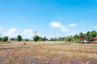 Champasak, Laos - 4000 ada, Champasak Eyaleti, Laos 'taki Don Det' in kır manzarası.