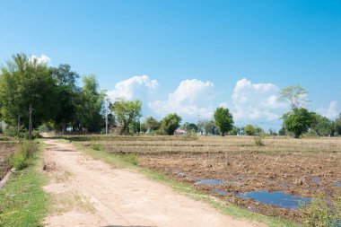 Champasak, Laos - 4000 ada, Champasak Eyaleti, Laos 'taki Don Det' in kır manzarası.