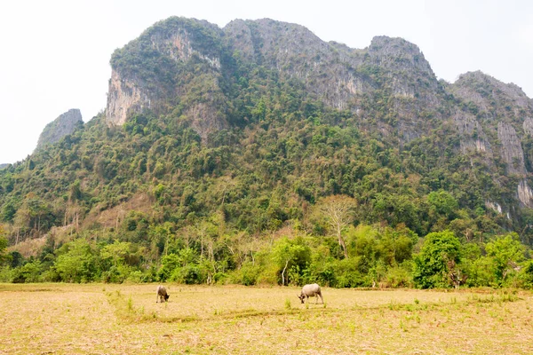 Ванг Вьенг Лаос Природный Образ Ванг Вьенга Известный Ландшафт Ванг — стоковое фото