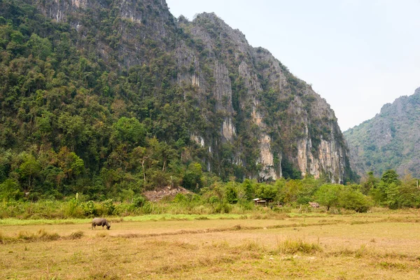 Vang Vieng, Laos - Vang Vieng 'in doğa görüntüsü. Vang Vieng, Vientiane Vilayeti, Laos 'ta ünlü bir manzara..