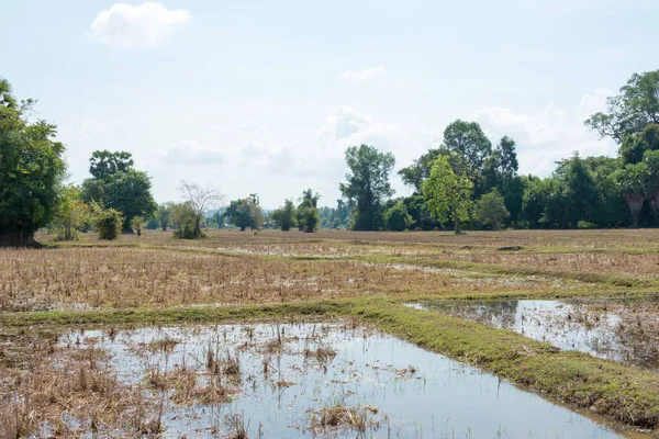 Champasak Laos Paisaje Rural Don Det 4000 Islas Provincia Champasak — Foto de Stock