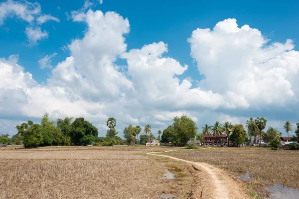 Champasak Laos Krajobraz Kraju Don Det 4000 Wyspach Prowincja Champasak Zdjęcia Stockowe bez tantiem