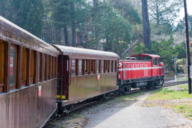 Chiayi County, Tayvan - Alishan Ulusal Sahne Bölgesi 'ndeki Alishan tren istasyonu, Chiayi County, Tayvan. Alishan Ormanı Demiryolu 762 mm 'lik dar bir demiryolu ağı..