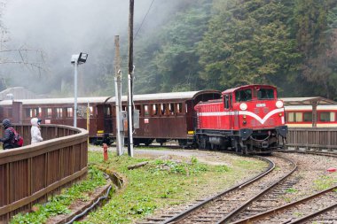 Chiayi County, Tayvan - Alishan Ulusal Sahne Bölgesi 'ndeki Alishan Ormanı Demiryolu, Chiayi County, Tayvan. Alishan Ormanı Demiryolu 762 mm 'lik dar bir demiryolu ağı..