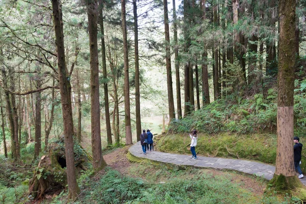 Chiayi County Taiwan Estrada Florestal Alishan National Scenic Area Alishan — Fotografia de Stock