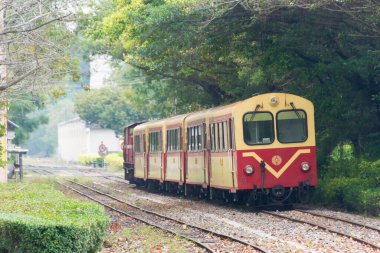 Chiayi, Tayvan - Chiayi, Tayvan 'daki Beimen Tren İstasyonu yakınlarındaki Alishan Ormanı.