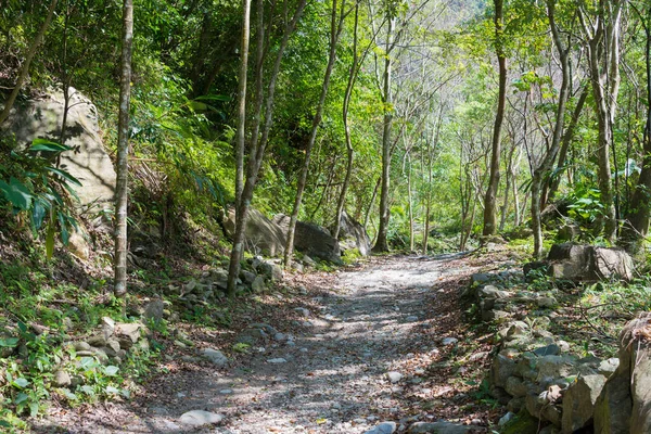Hualien Taiwan Februari 2020 Xiaozhuilu Trail Tempat Wisata Terkenal Taman — Stok Foto