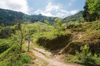 Hualien, Tayvan - 26 Şubat 2020 Taroko Ulusal Parkı 'ndaki Dali Köyü' nden güzel manzara, Xiulin, Hualien, Tayvan.