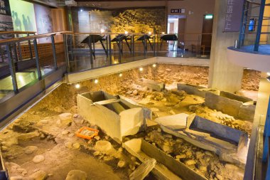 Taitung, Tayvan - Tayvan 'da Peinan Site Park (Beinan Kültür Parkı). Park, Tayvan 'da keşfedilmiş en büyük ve en eksiksiz tarih öncesi yerleşim yeridir..