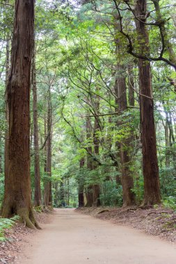 Kashima, Japonya - Japonya 'nın Kashima ilindeki Kashima Tapınağı' na (Kashima jingu Shrine) yaklaş. Kashima Tapınağı doğu Japonya 'daki en eski tapınaklardan biridir..