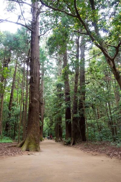 Kashima Japón Enfoque Santuario Kashima Santuario Kashima Jingu Kashima Prefectura — Foto de Stock