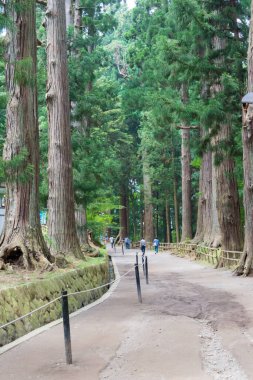 Iwate, Japonya Hiraizumi, Iwate, Japonya 'daki Chusonji Tapınağı' na yaklaş. UNESCO Dünya Mirası Bölgesi - Hiraizumi Tarihi Eserleri ve Siteleri.