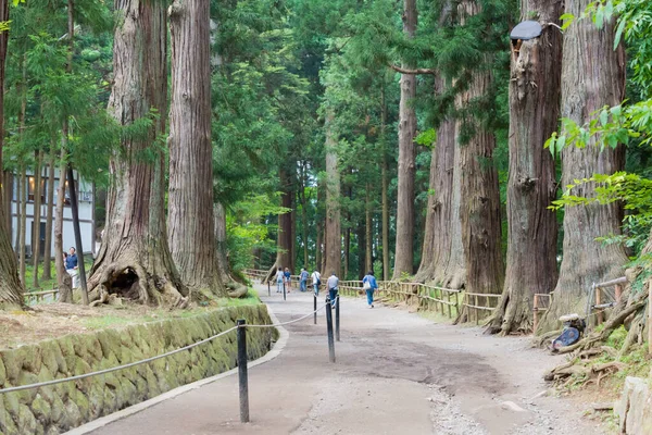 Iwate Japan Inflygning Till Chusonji Templet Hiraizumi Iwate Japan Det — Stockfoto