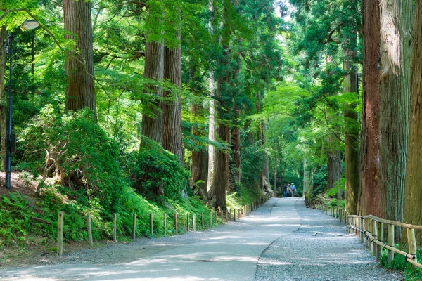 Iwate Japonia Podejście Świątyni Chusonji Hiraizumi Iwate Japonia Jest Częścią — Zdjęcie stockowe