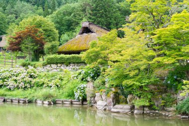 Gifu, Japonya Hida Halk Köyü. Takayama, Gifu, Japonya 'da ünlü bir açık hava müzesi ve tarihi bir yer..