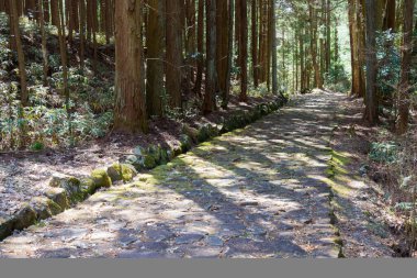Gifu, Japonya - Nakatsugawa, Gifu, Japonya 'daki Nakasendo' da Magome-juku ve Ochiai-juku arasında güzel manzara. Nakasendo ünlü bir antik yoldur..