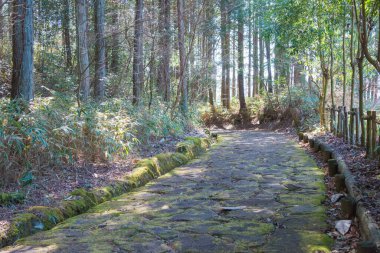 Gifu, Japonya - Nakatsugawa, Gifu, Japonya 'daki Nakasendo' da Magome-juku ve Ochiai-juku arasında güzel manzara. Nakasendo ünlü bir antik yoldur..