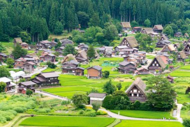 Gifu, Japonya - Japonya 'daki Shirakawago, Gifu' daki Ogimachi Köyü 'ndeki Gthe-zukuri evleri. UNESCO Dünya Mirasları Bölgesi - Shirakawa-go ve Gokayama 'nın Tarihi Köyleri.