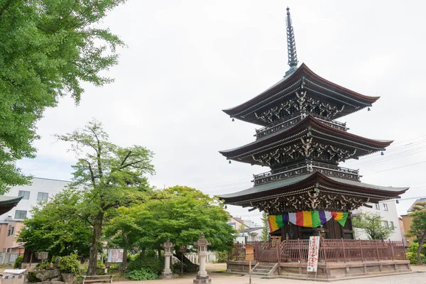 Gifu Japan Hida Kokubun Tempel Een Beroemde Historische Site Takayama — Stockfoto