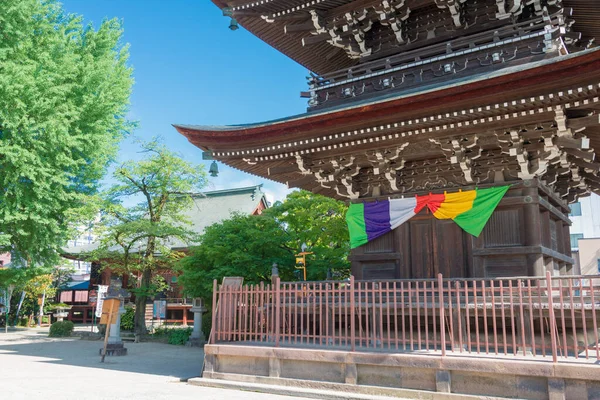 Gifu Japon Temple Hida Kokubun Site Historique Célèbre Takayama Gifu — Photo