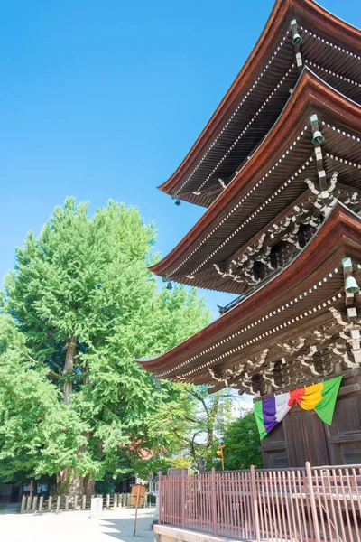 Гифу Япония Храм Хида Кокубун Дзи Известное Историческое Место Такаяме — стоковое фото