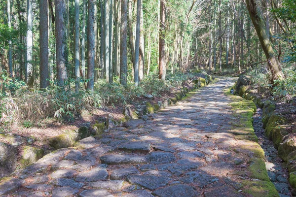 Gifu Japonia Piękny Widok Pomiędzy Magome Juku Ochiai Juku Nakasendo — Zdjęcie stockowe