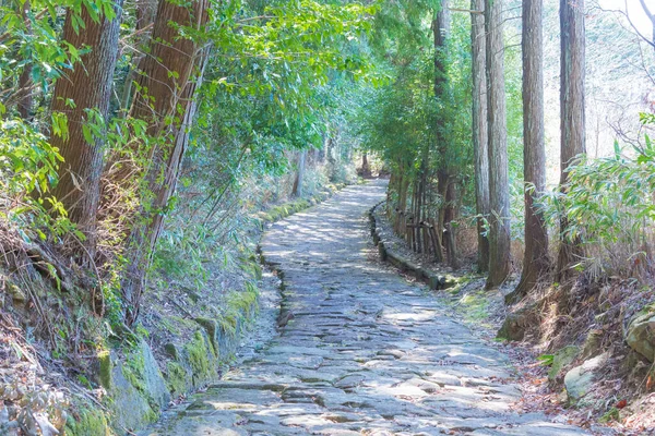 Gifu Japan Prachtig Panoramisch Uitzicht Van Tussen Magome Juku Ochiai — Stockfoto