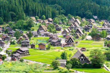 Gifu, Japonya - Japonya 'daki Shirakawago, Gifu' daki Ogimachi Köyü 'ndeki Gthe-zukuri evleri. UNESCO Dünya Mirasları Bölgesi - Shirakawa-go ve Gokayama 'nın Tarihi Köyleri.