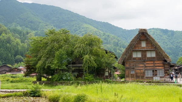 Gifu Japan Gassho Zukuri Häuser Dorf Ogimachi Shirakawago Gifu Japan — Stockfoto