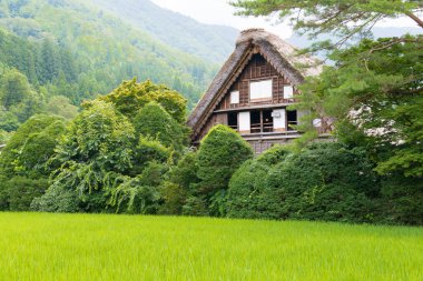 Gifu, Japonya - Japonya 'daki Shirakawago, Gifu' daki Ogimachi Köyü 'ndeki Gthe-zukuri evleri. UNESCO Dünya Mirasları Bölgesi - Shirakawa-go ve Gokayama 'nın Tarihi Köyleri.