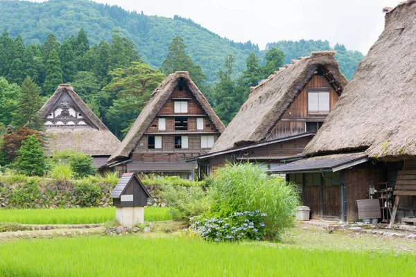 Gifu, Japan - Gassho-zukuri houses at Ogimachi Village in Shirakawago, Gifu, Japan. It is part of UNESCO World Heritage Site - Historic Villages of Shirakawa-go and Gokayama.