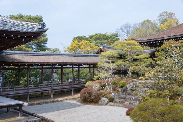 Kyoto Japonya Kyoto Japonya Daki Ninna Tapınağı Antik Kyoto Tarihi — Stok fotoğraf