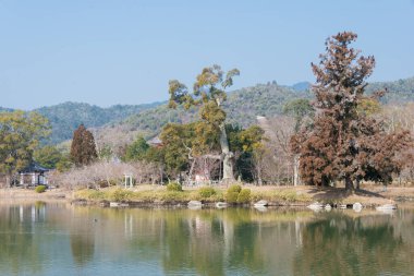 Kyoto, Japonya - Japonya, Kyoto 'daki Daikaku-ji Tapınağı. Arazi aslında İmparator Saga 'nın (786-842) eviydi.).