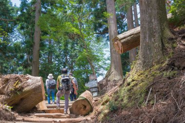 Kyoto, Japonya - Atago Dağı 'ndaki tapınağa yaklaş. Atago, Kyoto, Japonya 'da. Atago Tapınağı, Japonya 'nın Kyoto kentinin kuzeybatısındaki Atago Dağı' nda bir Shinto tapınağıdır..