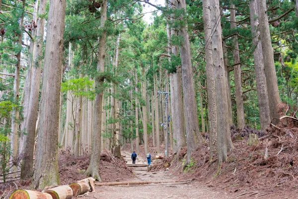 Kyoto Japan Atago Helgedomen Atago Kyoto Japan Atago Helgedom Helgedom — Stockfoto