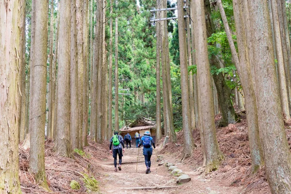 Kyoto Japan Atago Helgedomen Atago Kyoto Japan Atago Helgedom Helgedom — Stockfoto