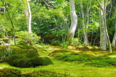 Kyoto, Japonya - Kyoto, Japonya 'daki Gio-ji Tapınağı. Tapınak, 