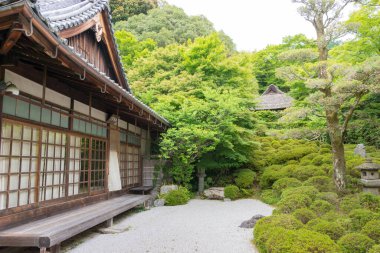 Kyoto, Japonya - Japonya, Kyoto 'daki Konpuku-ji tapınağında Japon bahçesi. Konpuku-ji 864 yılında Jikaku Daishi adında bir rahip tarafından inşa edildi..