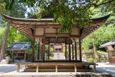 Kyoto, Japonya - Kyoto, Japonya 'daki Saginomori Tapınağı. Tapınak 9. yüzyılda kuruldu..